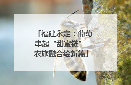福建永定：葡萄串起“甜蜜链” 农旅融合绘新篇
