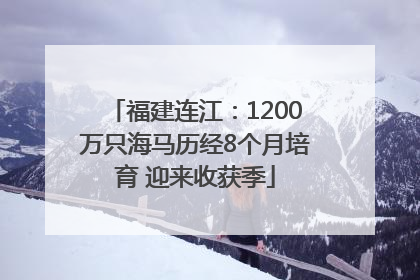 福建连江：1200万只海马历经8个月培育 迎来收获季