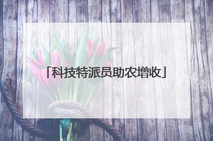 科技特派员助农增收