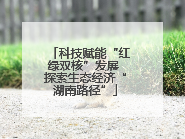 科技赋能“红绿双核”发展 探索生态经济“湖南路径”