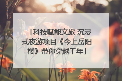 科技赋能文旅 沉浸式夜游项目《今上岳阳楼》带你穿越千年