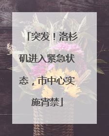 突发！洛杉矶进入紧急状态，市中心实施宵禁