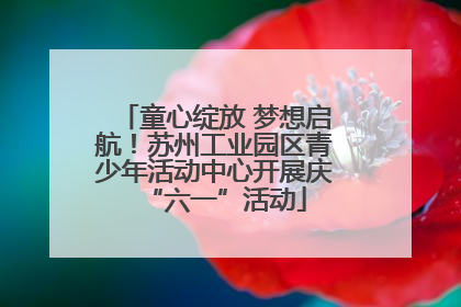 童心绽放 梦想启航！苏州工业园区青少年活动中心开展庆“六一”活动