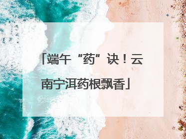 端午“药”诀！云南宁洱药根飘香