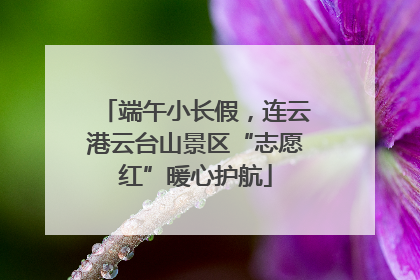 端午小长假，连云港云台山景区“志愿红”暖心护航