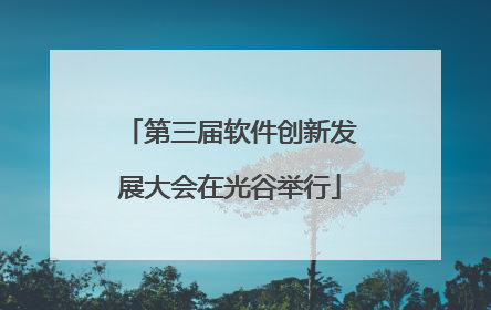 第三届软件创新发展大会在光谷举行