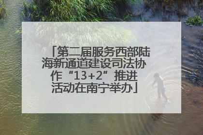 第二届服务西部陆海新通道建设司法协作“13+2”推进活动在南宁举办