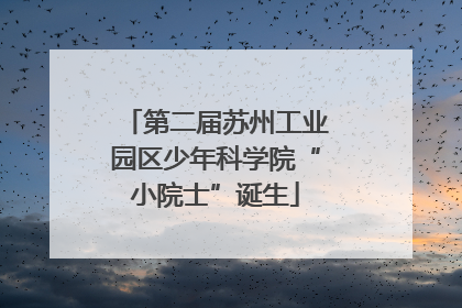 第二届苏州工业园区少年科学院“小院士”诞生