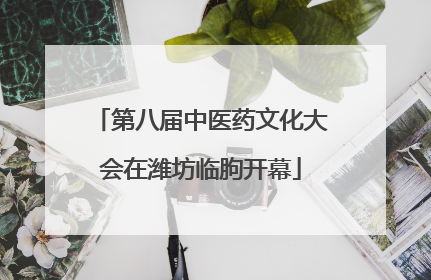 第八届中医药文化大会在潍坊临朐开幕