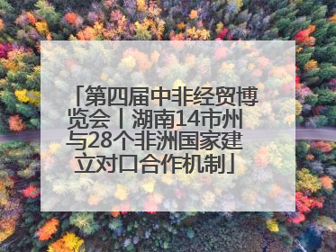 第四届中非经贸博览会丨湖南14市州与28个非洲国家建立对口合作机制