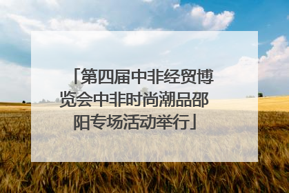第四届中非经贸博览会中非时尚潮品邵阳专场活动举行
