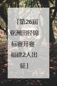第26届亚洲田径锦标赛开赛 福建2人出征