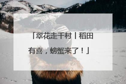翠花走千村丨稻田有喜，螃蟹来了！