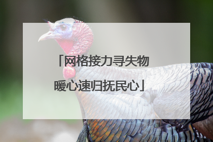 网格接力寻失物 暖心速归抚民心