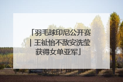 羽毛球印尼公开赛｜王祉怡不敌安洗莹 获得女单亚军