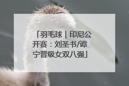 羽毛球｜印尼公开赛：刘圣书/谭宁晋级女双八强