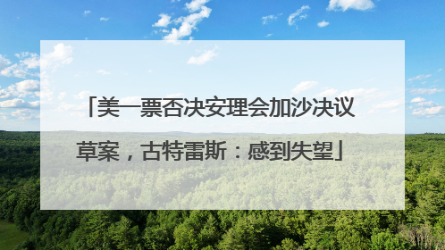 美一票否决安理会加沙决议草案，古特雷斯：感到失望
