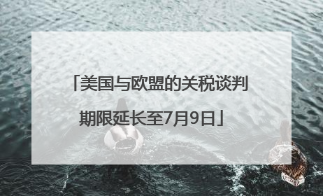 美国与欧盟的关税谈判期限延长至7月9日