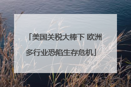 美国关税大棒下 欧洲多行业恐陷生存危机