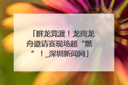 群龙竞渡！龙岗龙舟邀请赛现场超“燃”！_深圳新闻网