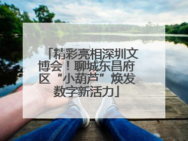 精彩亮相深圳文博会！聊城东昌府区“小葫芦”焕发数字新活力