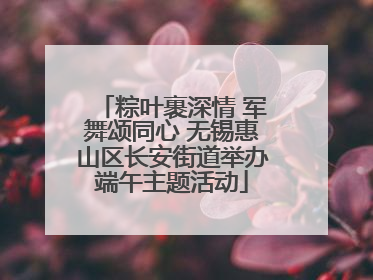 粽叶裹深情 军舞颂同心 无锡惠山区长安街道举办端午主题活动