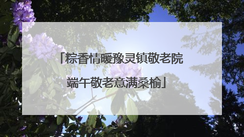粽香情暖豫灵镇敬老院 端午敬老意满桑榆