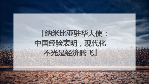 纳米比亚驻华大使：中国经验表明，现代化不光是经济腾飞