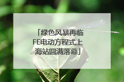 绿色风暴再临 FE电动方程式上海站圆满落幕
