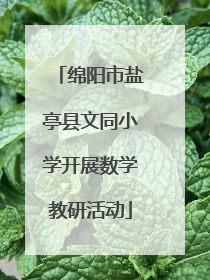 绵阳市盐亭县文同小学开展数学教研活动