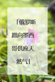 俄罗斯愿向墨西哥供应天然气