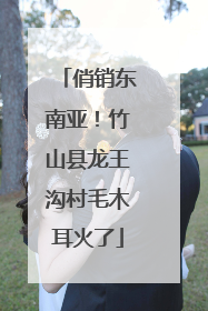 俏销东南亚！竹山县龙王沟村毛木耳火了