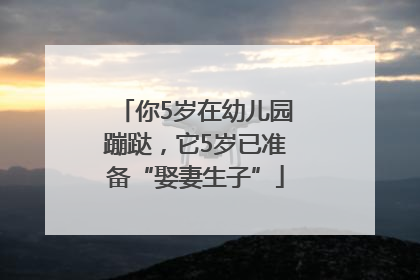 你5岁在幼儿园蹦跶，它5岁已准备“娶妻生子”