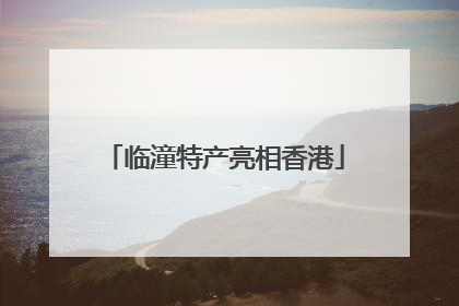 临潼特产亮相香港