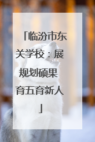 临汾市东关学校：展规划硕果 育五育新人