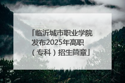 临沂城市职业学院发布2025年高职（专科）招生简章