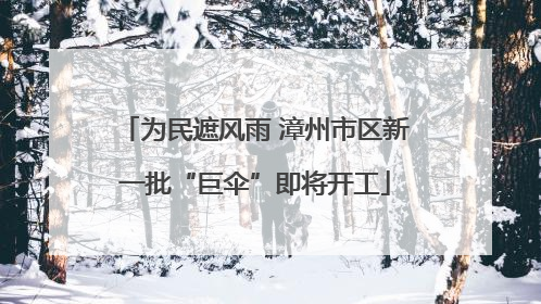 为民遮风雨 漳州市区新一批“巨伞”即将开工