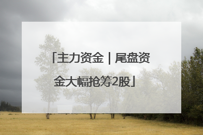 主力资金｜尾盘资金大幅抢筹2股