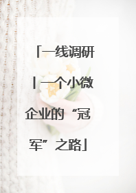 一线调研丨一个小微企业的“冠军”之路