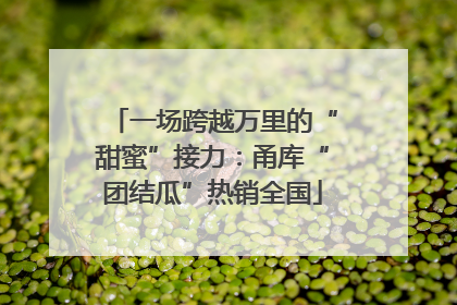 一场跨越万里的“甜蜜”接力：甬库“团结瓜”热销全国