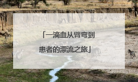 一滴血从臂弯到患者的漂流之旅