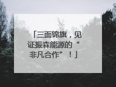 三面锦旗，见证振森能源的“非凡合作”！