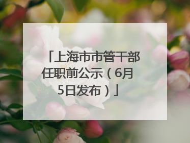 上海市市管干部任职前公示（6月5日发布）
