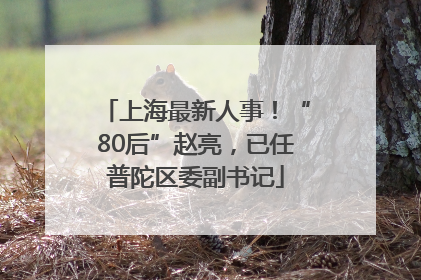 上海最新人事！“80后”赵亮，已任普陀区委副书记