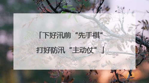 下好汛前“先手棋” 打好防汛“主动仗”