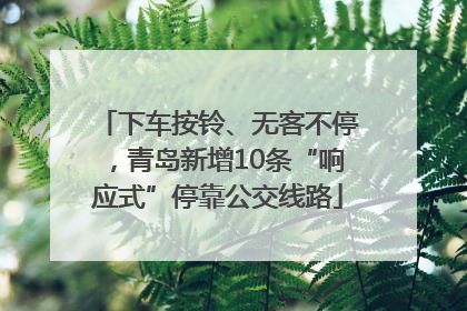 下车按铃、无客不停，青岛新增10条“响应式”停靠公交线路