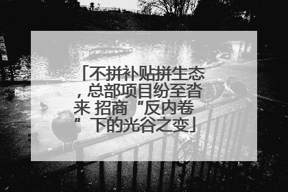 不拼补贴拼生态，总部项目纷至沓来 招商“反内卷”下的光谷之变
