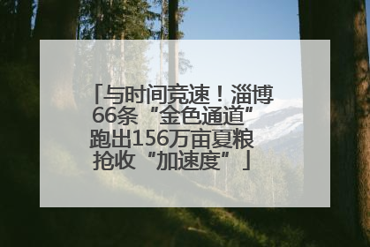 与时间竞速！淄博66条“金色通道”跑出156万亩夏粮抢收“加速度”