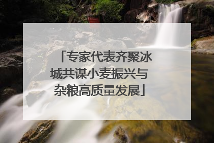 专家代表齐聚冰城共谋小麦振兴与杂粮高质量发展