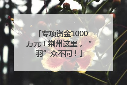 专项资金1000万元！荆州这里，“羽”众不同！